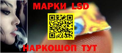 шишки Обь