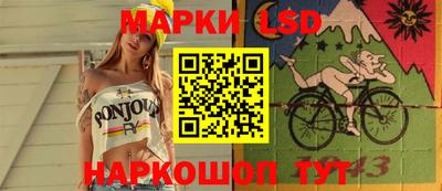 шишки Обь