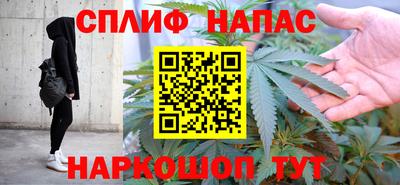 шишки Обь