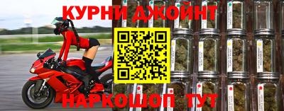 шишки Обь