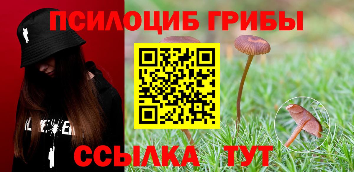 Симферополь  Псилоцибиновые грибы Psilocybe  как найти закладки  Вход с VPN 